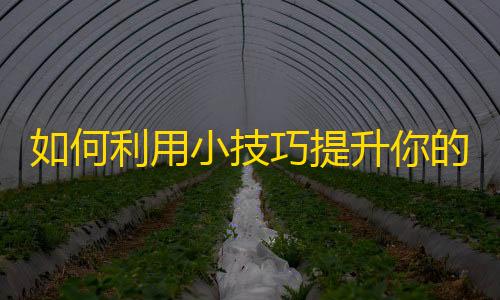 如何利用小技巧提升你的抖音粉丝数？