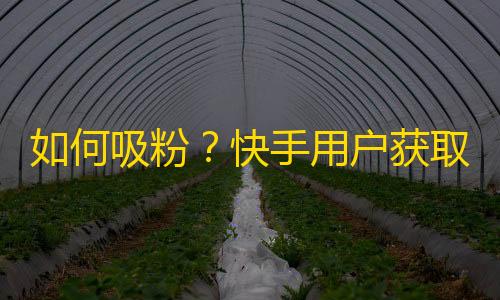 如何吸粉？快手用户获取更多粉丝的技巧!