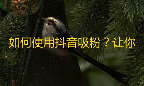 如何使用抖音吸粉？让你的账号快速增长！