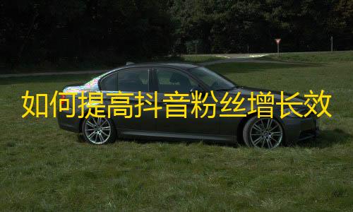 如何提高抖音粉丝增长效率？