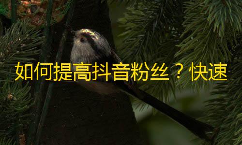 如何提高抖音粉丝？快速获取更多的抖音关注数量的方法！