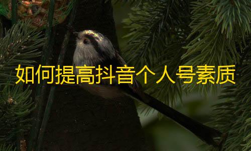 如何提高抖音个人号素质，增加粉丝量？