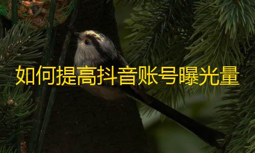 如何提高抖音账号曝光量？小技巧教你轻松刷粉丝！