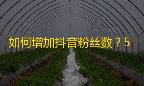 如何增加抖音粉丝数？5个实用技巧让你轻松刷出高人气！