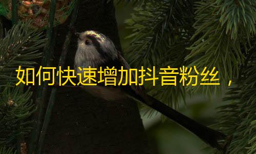 如何快速增加抖音粉丝，让你在短时间内成为网红？