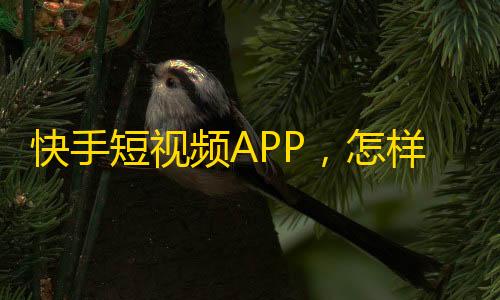 快手短视频APP，怎样刷到更多真实粉丝？