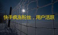 快手疯涨粉丝，用户活跃度创新高