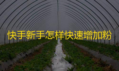 快手新手怎样快速增加粉丝？