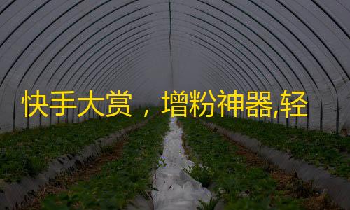 快手大赏，增粉神器,轻松获取高质量粉丝的秘诀