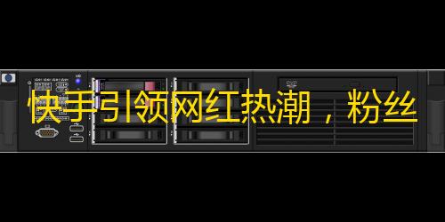 快手引领网红热潮，粉丝不断增加，欲了解详情请看！