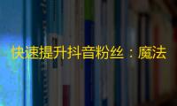 快速提升抖音粉丝：魔法小助手教你轻松刷关注！