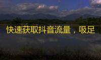 快速获取抖音流量，吸足10万人气！