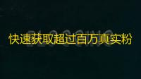 快速获取超过百万真实粉丝方法分享，抖音加速引流全攻略！