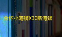 金杯小海狮X30新海狮X30L改装饰汽车配件中控仪表台盘防晒避光垫