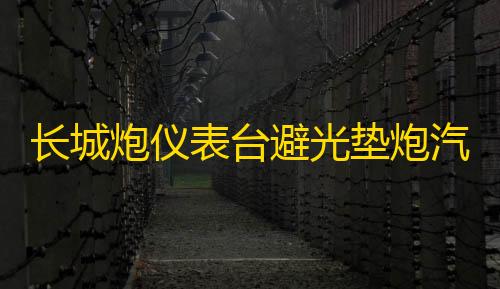 长城炮仪表台避光垫炮汽车内饰装饰用品配件中控台改装防滑防晒垫