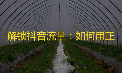 解锁抖音流量：如何用正确的方式快速增加关注？