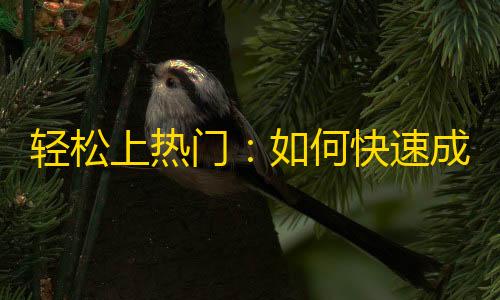 轻松上热门：如何快速成为抖音网红？