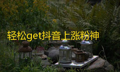 轻松get抖音上涨粉神器，短时间内大量增加关注数量！