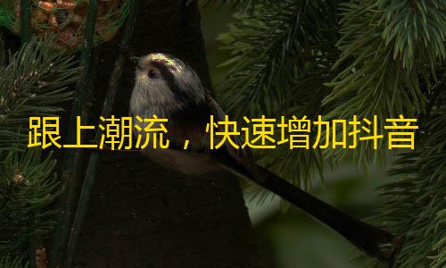 跟上潮流，快速增加抖音粉丝！