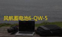 风帆蓄电池6-QW-54(产品升级为T6)适用桑塔纳志俊12V汽车电瓶