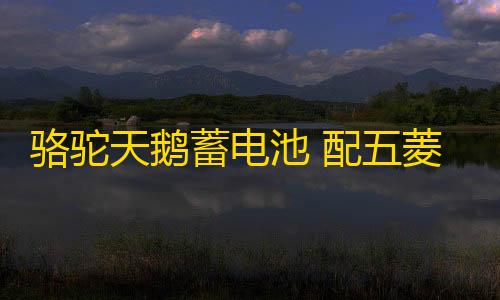 骆驼天鹅蓄电池 配五菱荣光之光宝骏310北汽车幻速S3汽车电瓶 48A