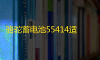 骆驼蓄电池55414适配桑塔纳2000老捷达汽车电瓶54AH 以旧换新