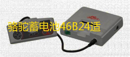 骆驼蓄电池46B24适配起亚K2现代瑞纳瑞奕雅绅特12V45ah汽车电瓶