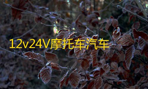 12v24V摩托车汽车纯铜充电器货车叉车电瓶船用充满自停电池充电机