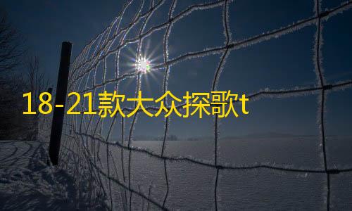 18-21款大众探歌t-roc中网外观改装配件2021前脸保险杠专用装饰条